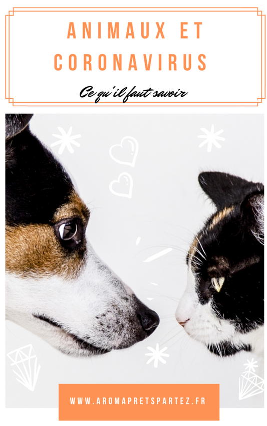 Animaux & coronavirus
