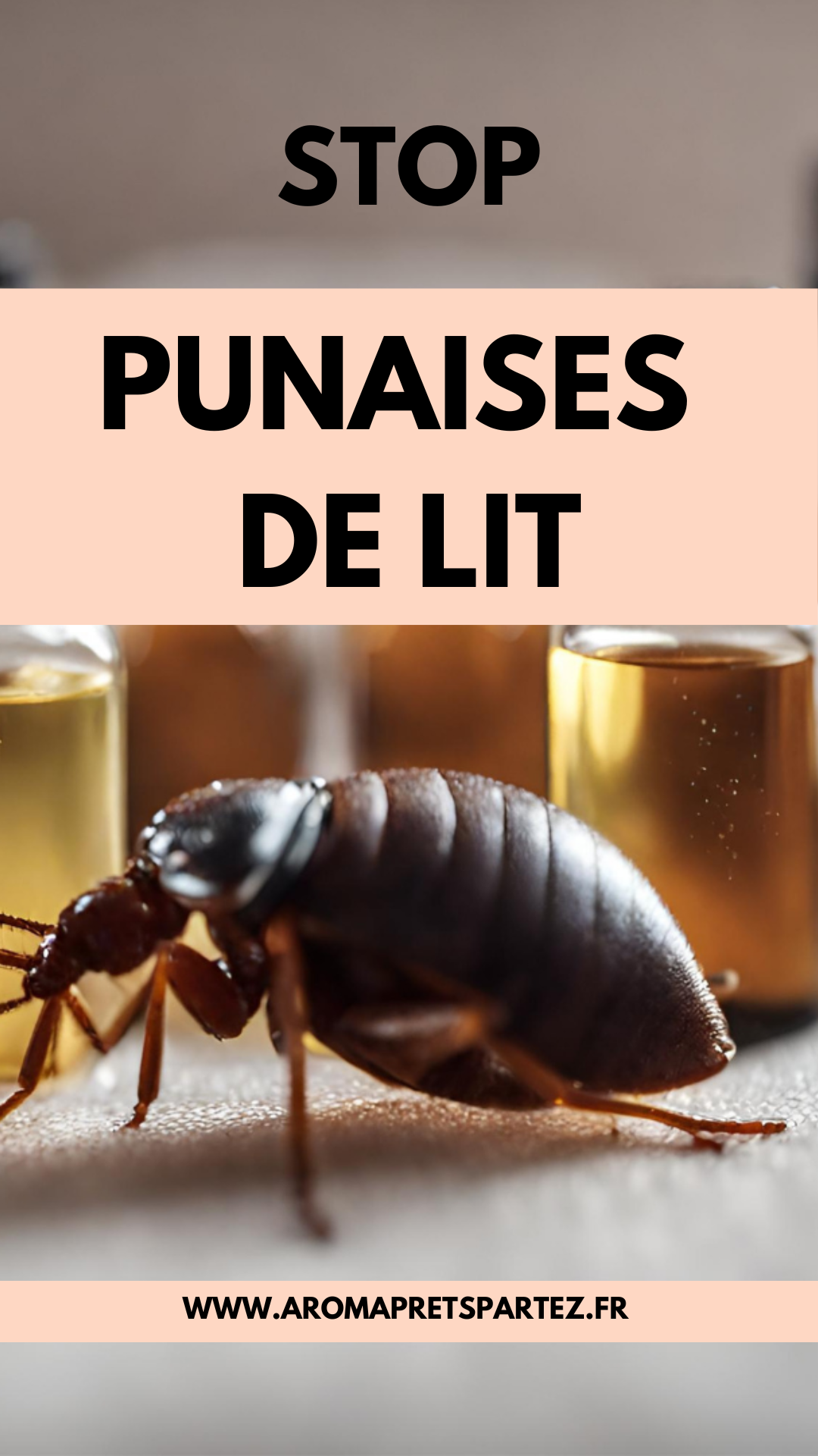 Traitement Naturel contre les Punaises de Lit : Comment Utiliser les Huiles Essentielles