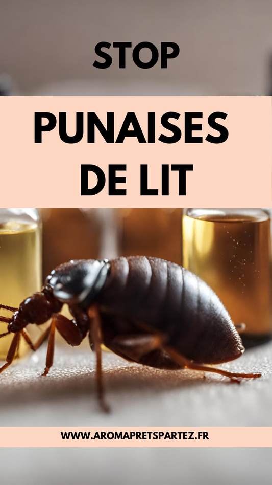 Traitement Naturel contre les Punaises de Lit : Comment Utiliser les Huiles Essentielles