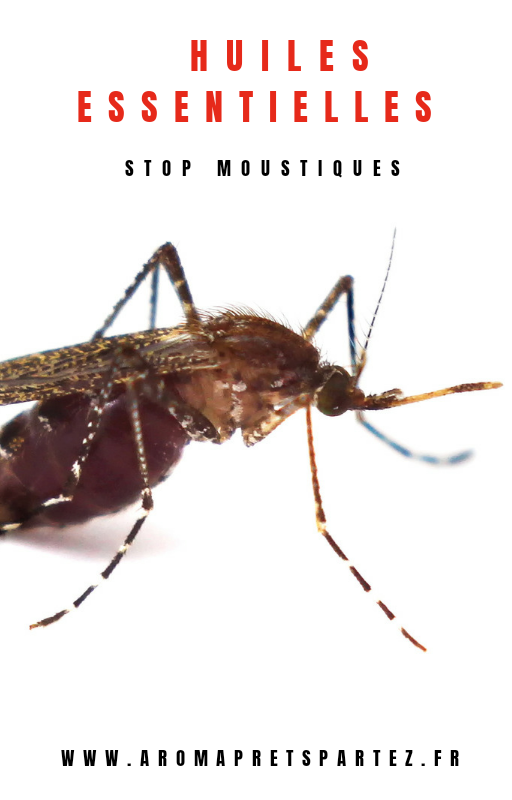 Stop moustiques ! Quelles  huiles essentielles ?