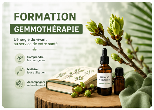 FORMATION COMPLÈTE EN GEMMOTHÉRAPIE