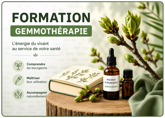 FORMATION GEMMOTHÉRAPIE + BOX OFFERTE