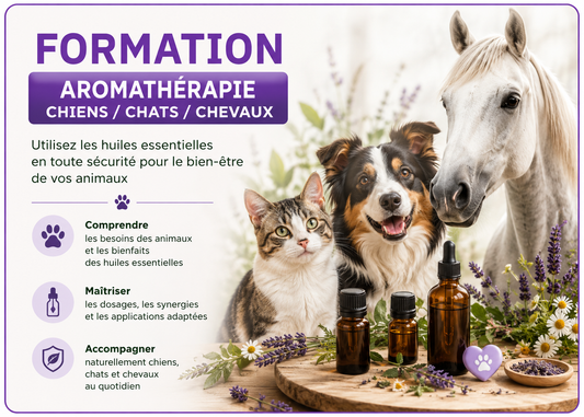 Formation - AROMATHÉRAPIE CHIENS, CHATS, CHEVAUX
