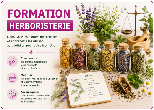 Formation - HERBORISTERIE / CUEILLEUR