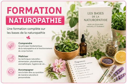 Formation - CONSEILLER EN NATUROPATHIE