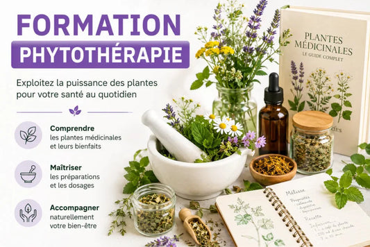 Formation - PHYTOTHÉRAPIE