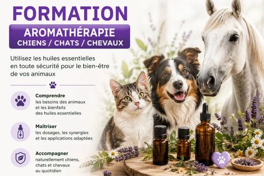 Formation - AROMATHÉRAPIE CHIENS, CHATS, CHEVAUX